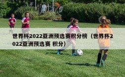 世界杯2022亚洲预选赛积分榜（世界杯2022亚洲预选赛 积分）