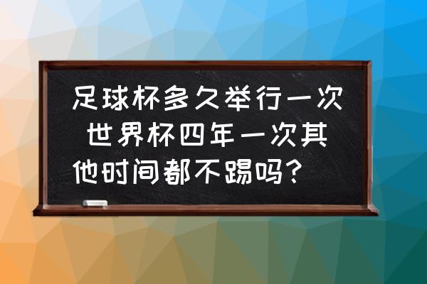 足球杯多久举行一次 世界杯四年一次其他时间都不踢吗？